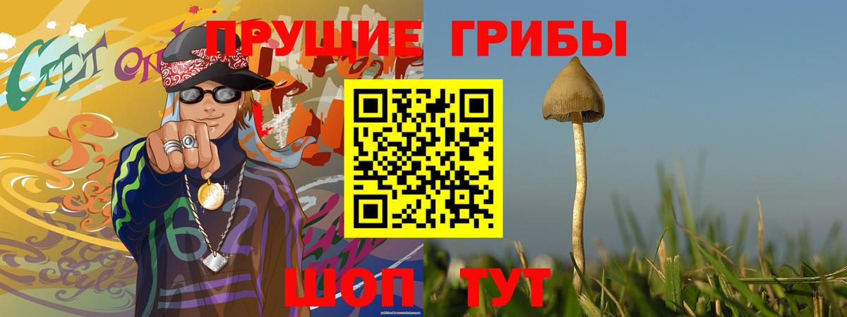 Галлюциногенные грибы мицелий Уссурийск